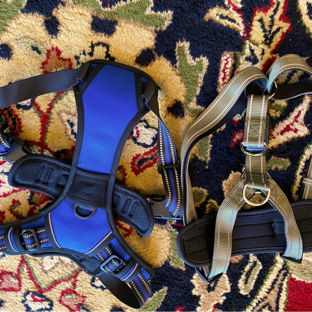 Large sized dog harnesses new